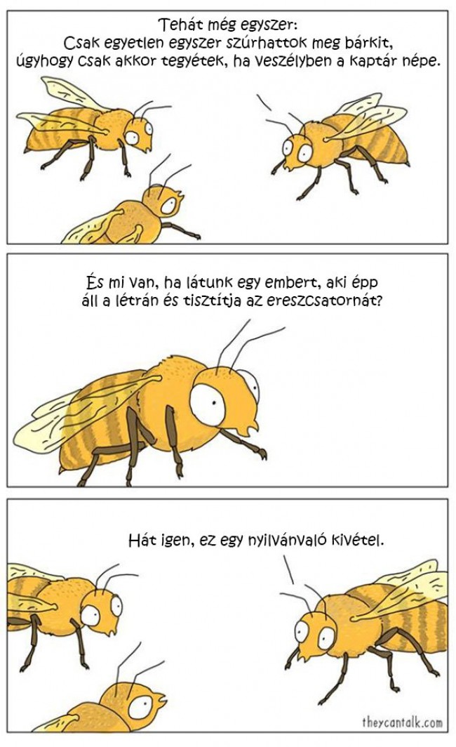 55b9b14256181547.jpg