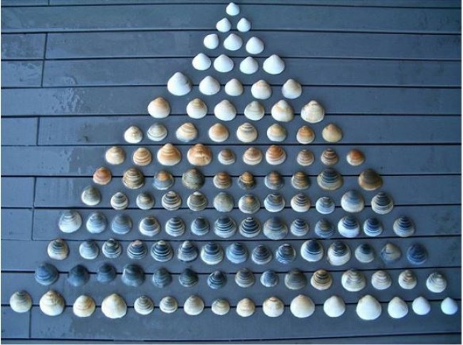 1385836892_1620545170812027.jpg