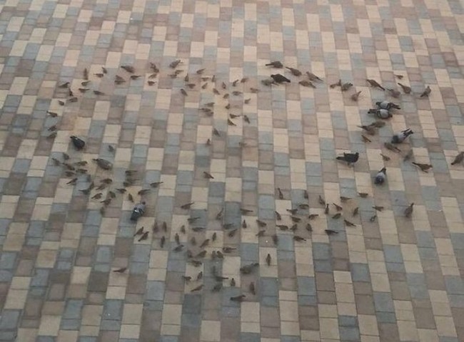 1698577637_1510518761300116.jpg