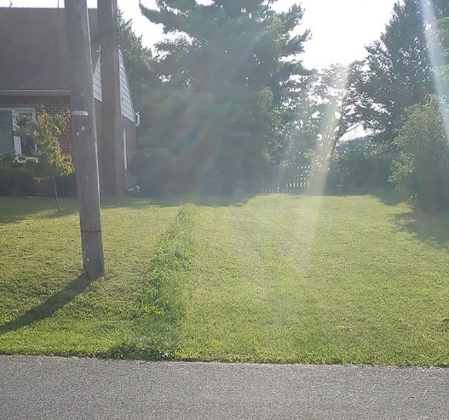 1790036214_2097092520101227.jpg