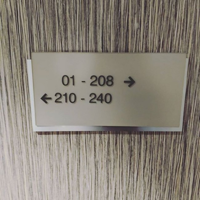 1844543532_939170805550745.jpg