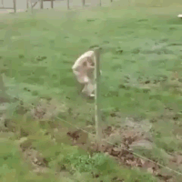 1968984403_179907170411721.jpg