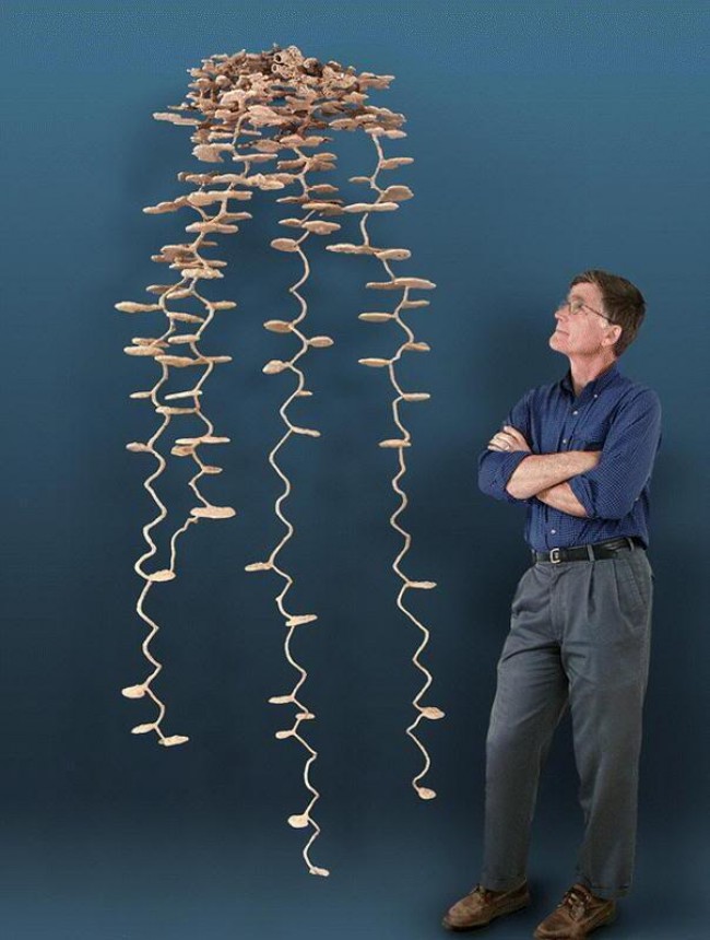 348599026_59502102313023.jpg