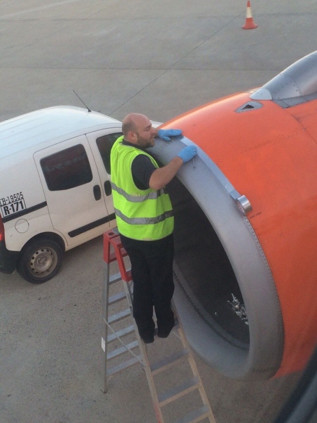 516ac00743001416.jpg