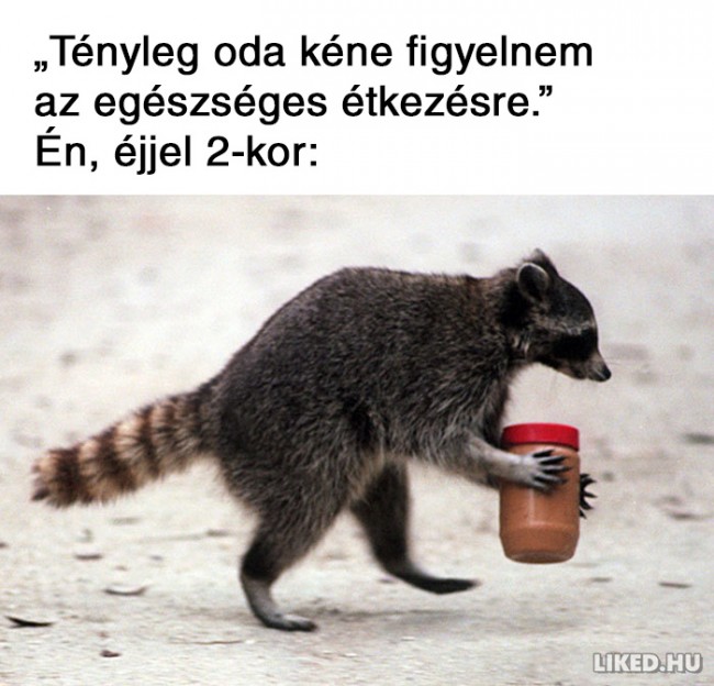 146946523_461511001582969.jpg