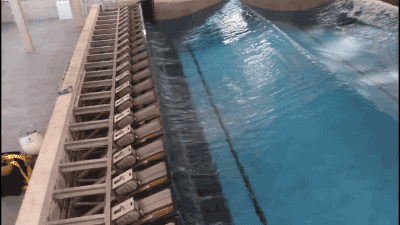 1521449819_262271090813864.gif