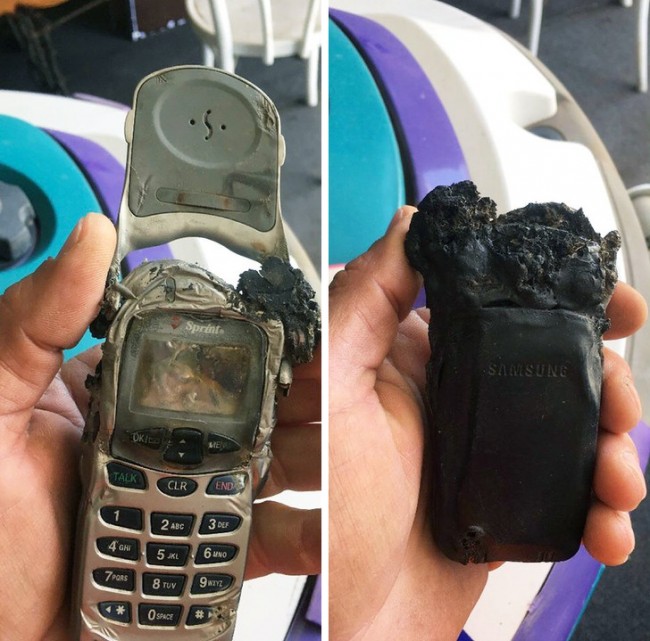 1735579466_1410421001076645.jpg