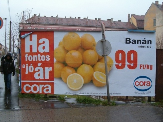 2848645e4e181137.jpg