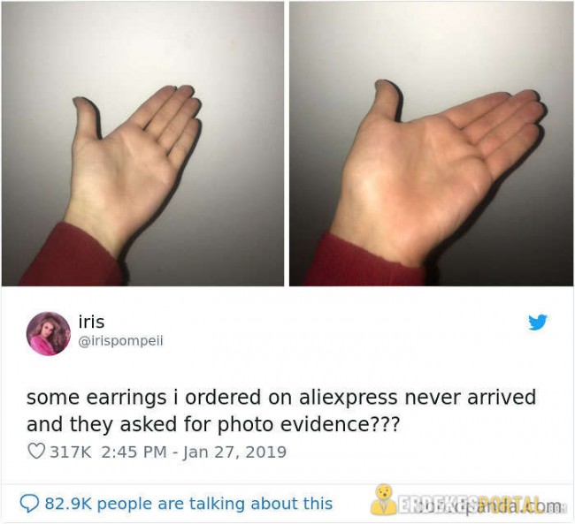 483787546_170023060795662.jpg