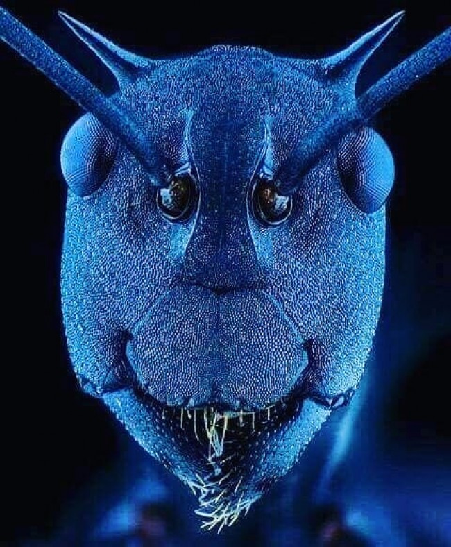 680602250_1983199190019810.jpg
