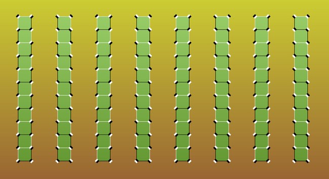 2041102799_661419081410935.jpg