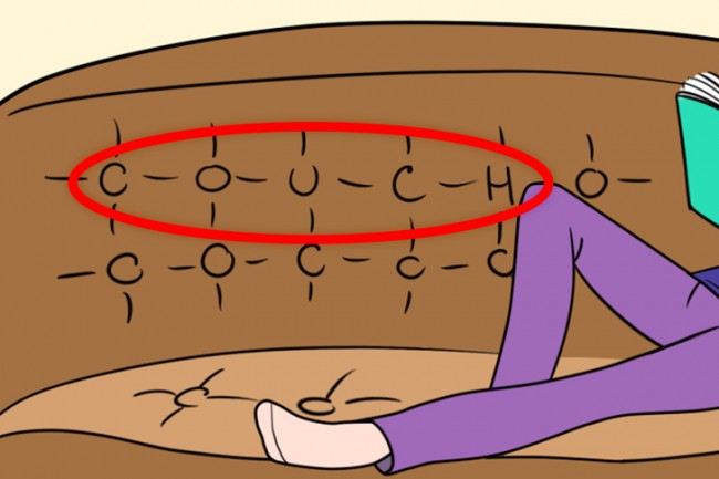 2123484274_1319288100060736.jpg