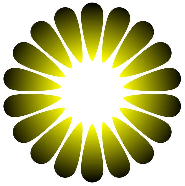 437220382_340807819081984.jpg