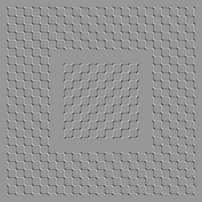 608437177_897942311908093.jpg