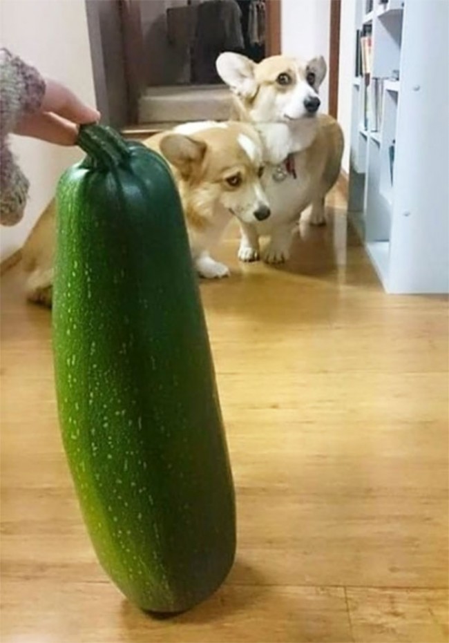 727932139_619042204223542.jpg