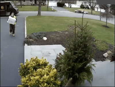 b62f91cb33062823.gif