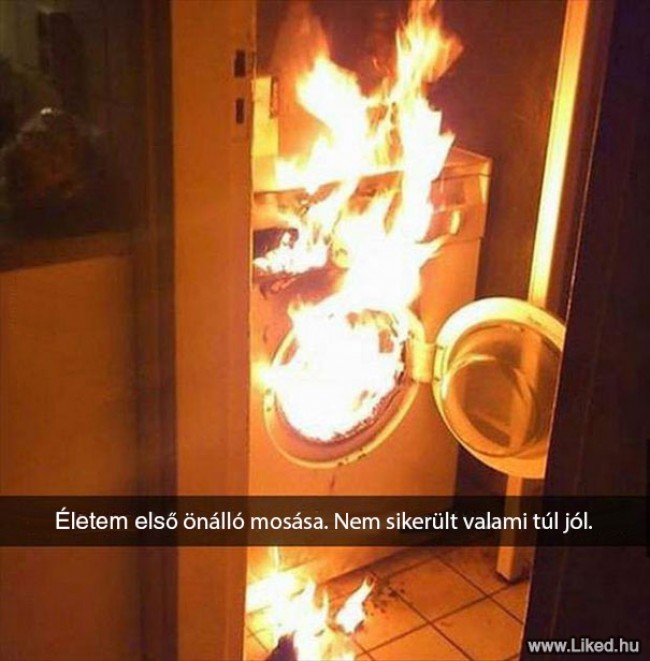 db2fe6335f134711.jpg