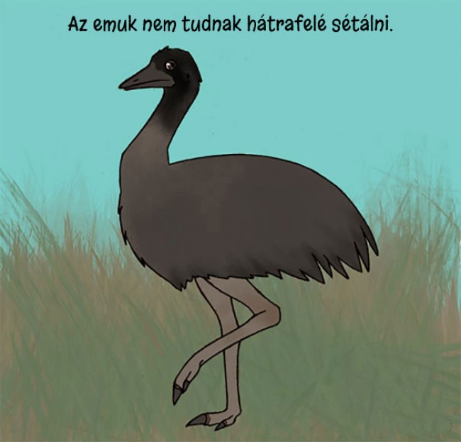 1247118901_1957100420155615.jpg