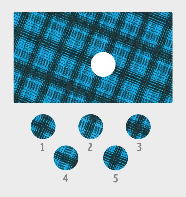 1705077692_401306094584419.jpg