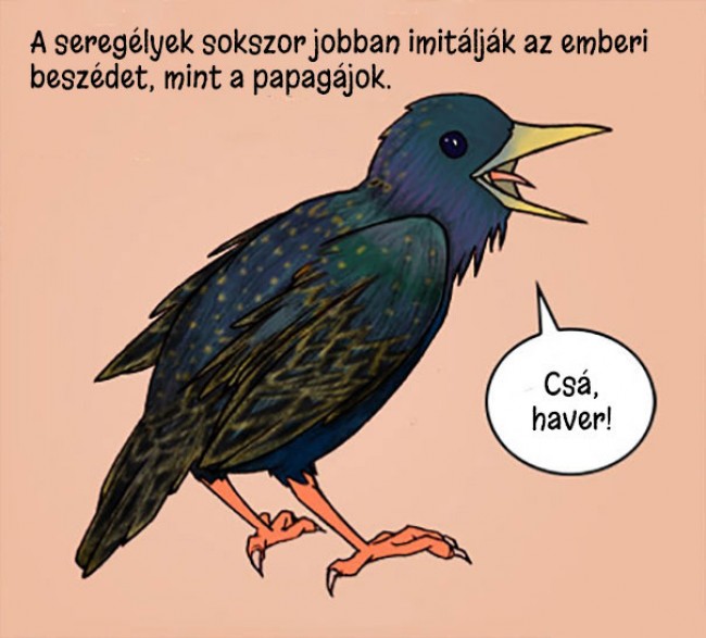 27512988_1929100412980476.jpg