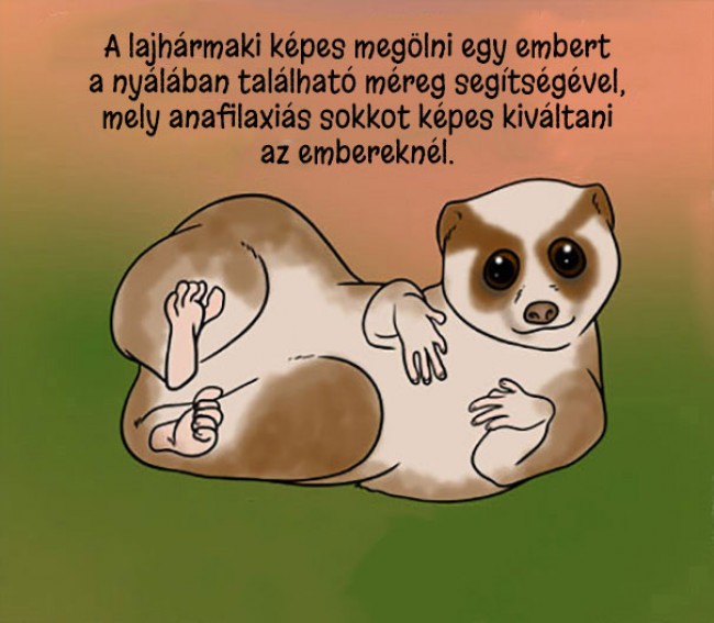 860254045_1184456100416215.jpg