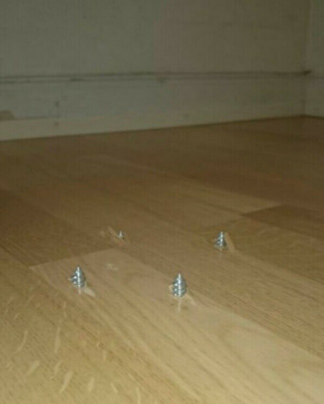 889167094_1190015742054432.jpg
