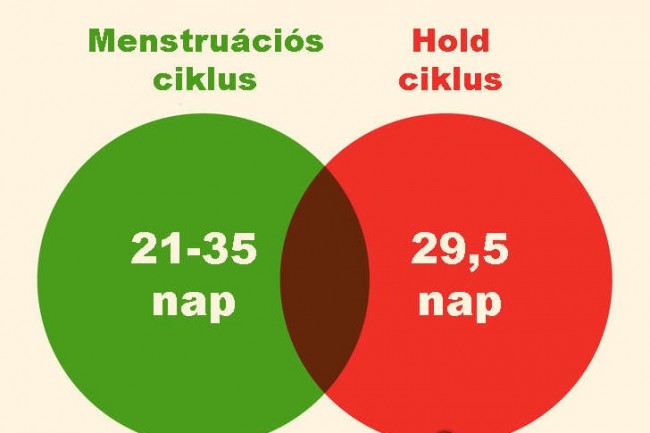 1737537618_1288887140811896.jpg