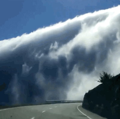 1189915815_643819002427429.gif