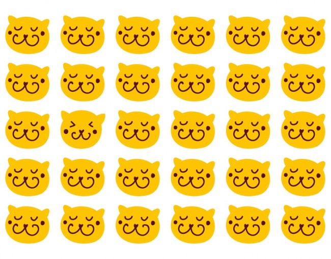 1249232050_1482322060727850.jpg