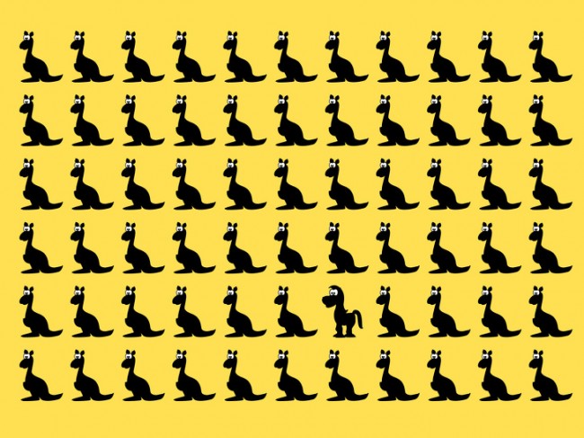 1357935865_1106136432108088.jpg