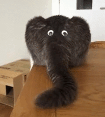 1393112683_2062100138050116.gif