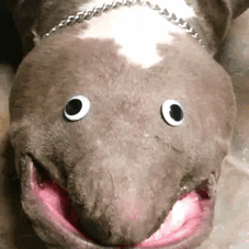1415167889_1148402100148308.gif