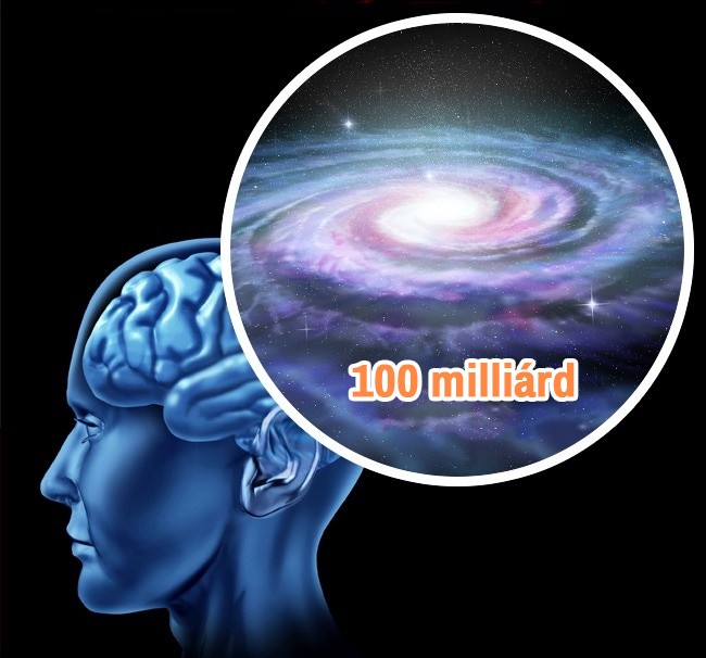 1443306624_986300001647857.jpg