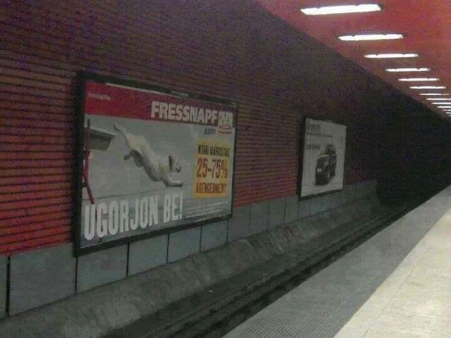 1531757796_450800338458850.jpg