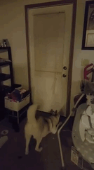 1695346136_2066642919102140.gif