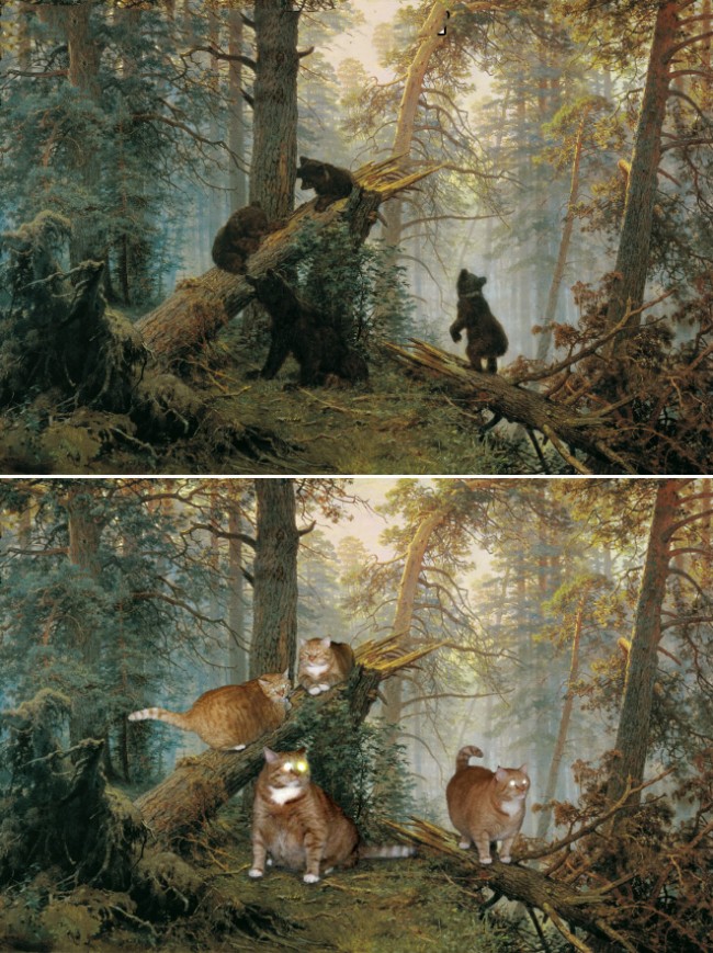 1795331861_136213001952343.jpg