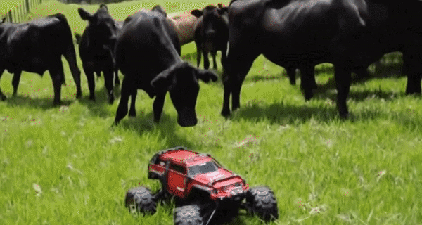 1888417372_1457191024484135.gif