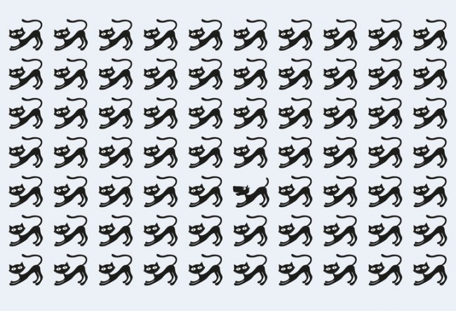 1955409494_1518535252108076.jpg