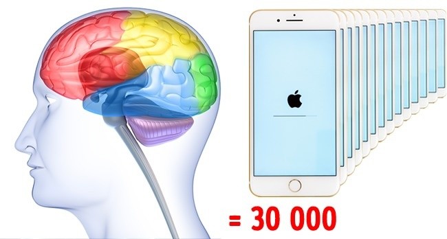 458003181_1916100001717872.jpg