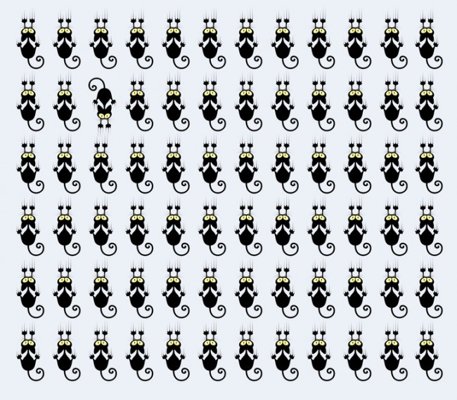 507673568_1694921080670239.jpg