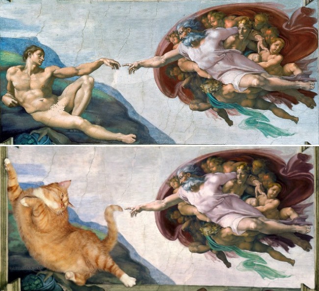 548428091_1750056413001659.jpg