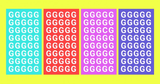 559648785_1772108063982830.jpg