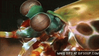 1346461450_1775969641100204.gif