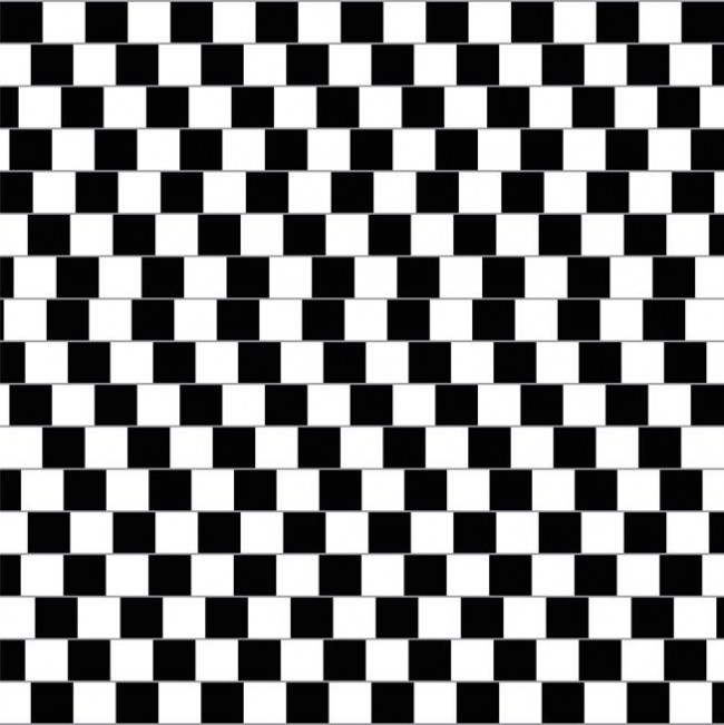 1618820271_1335421391700304.jpg