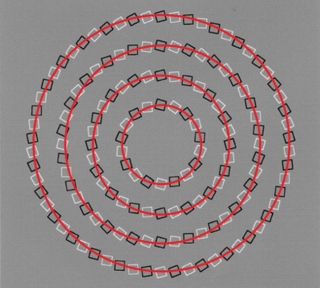 169420510_1138704660508233.jpg