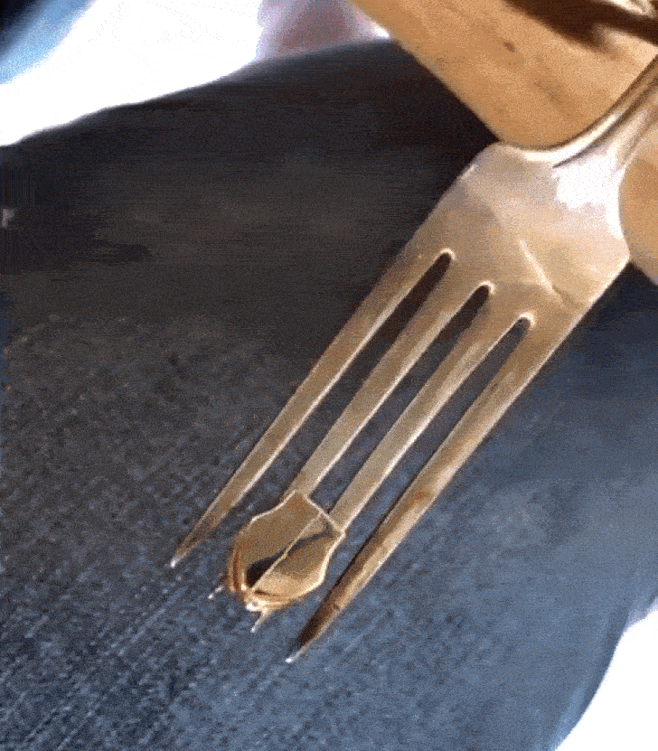 1881101229_1387010807224815.gif
