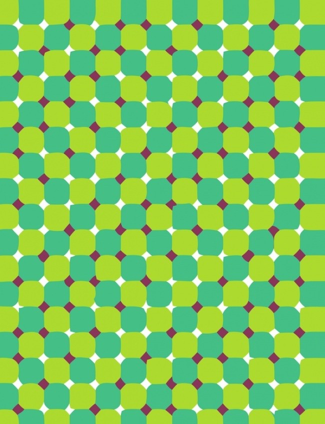 2055903353_396305082485471.jpg