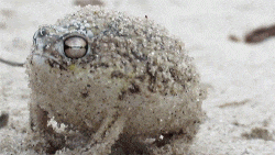 336653887_2071100195407484.gif