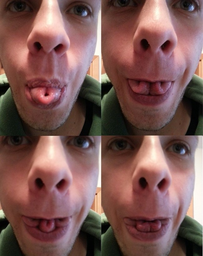 440912893_1263592010090873.jpg