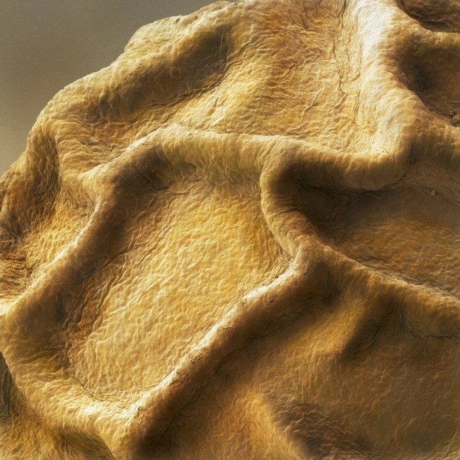626126502_1708492120015006.jpg